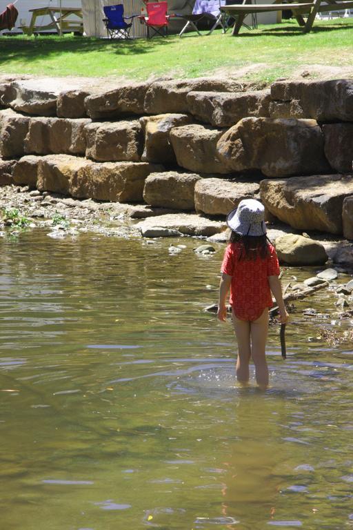 Big4 Wye River Holiday Park Kültér fotó